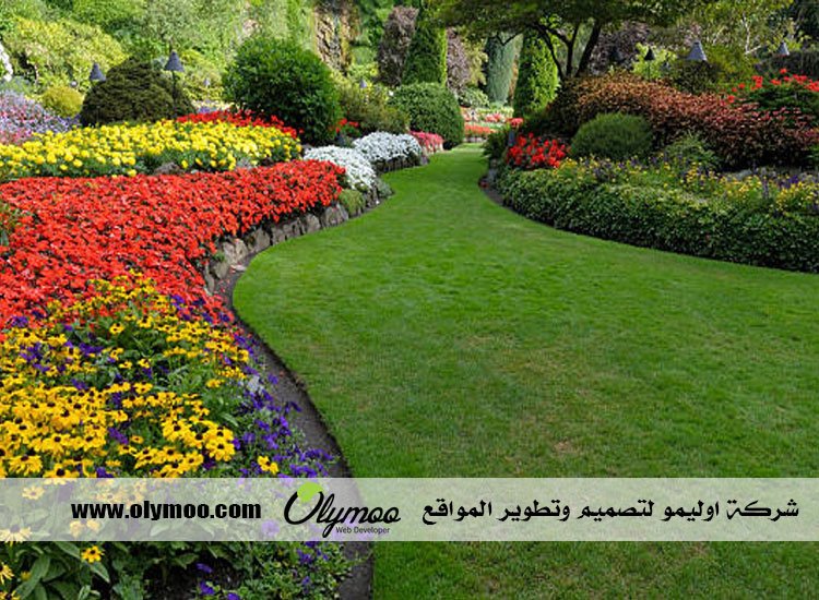 شركة تنسيق حدائق بالرياض