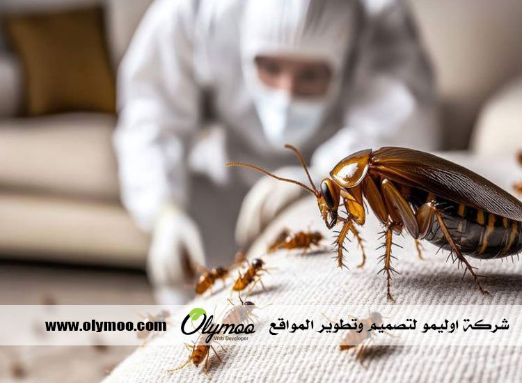 شركة مكافحة حشرات بجدة