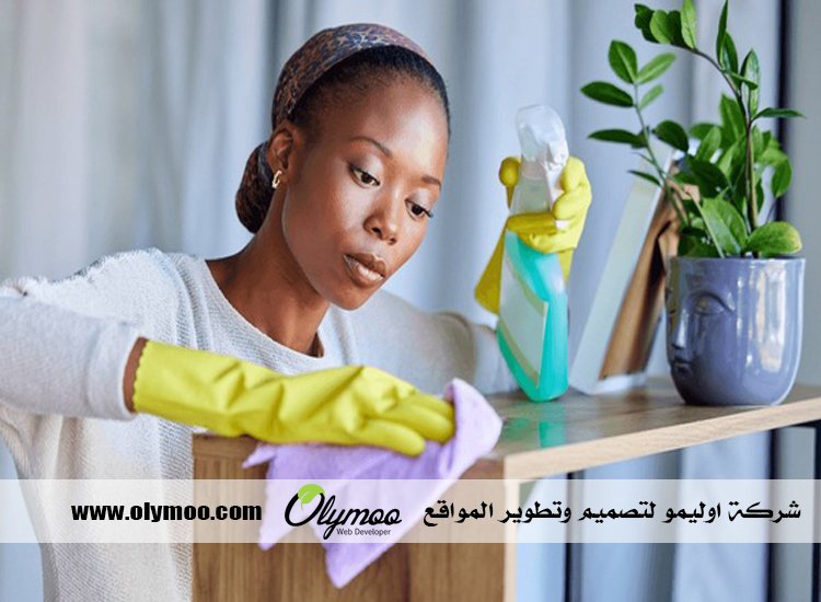 شركة تنظيف في دبي 3 شركة تنظيف في دبي