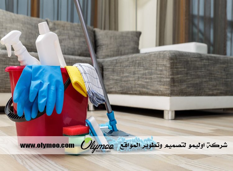 شركة تنظيف في دبي