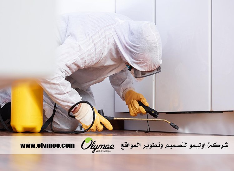 شركة مكافحة الصراصير في دبي