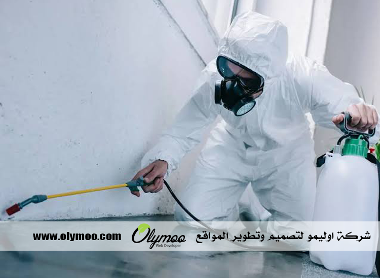 شركة مكافحة حشرات في دبي
