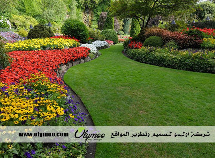 شركة تركيب عشب صناعي بالرياض 2 شركة تركيب عشب صناعي بالرياض